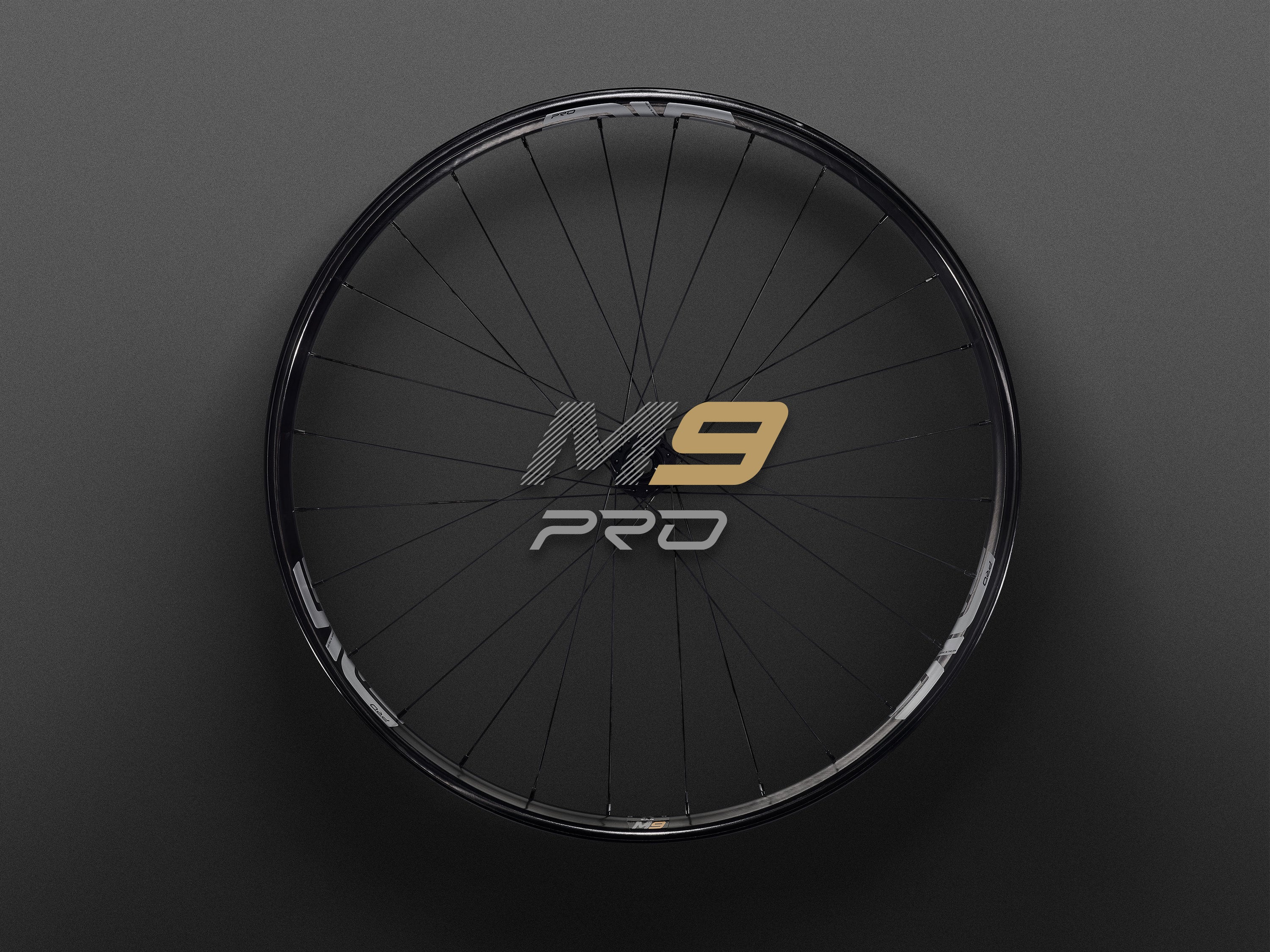 BMC SLR01 パワーメーター両側ENVEホイール size51 ENVE-M-series-2024-